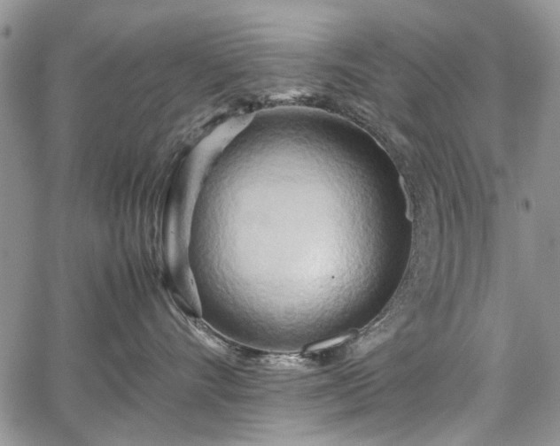 X0000067910528200604171342