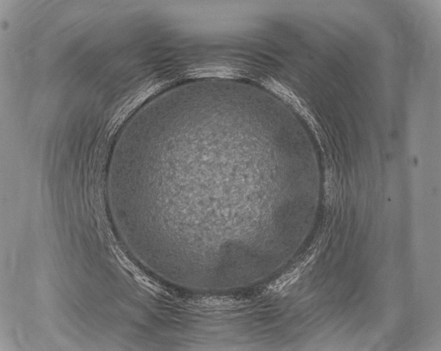 X0000067910529200604171341