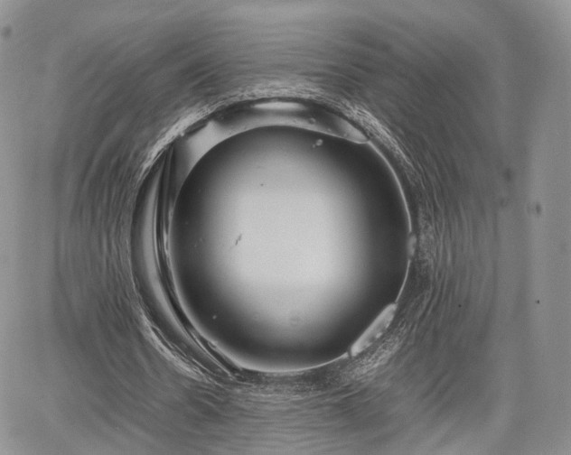 X0000067910530200604171341