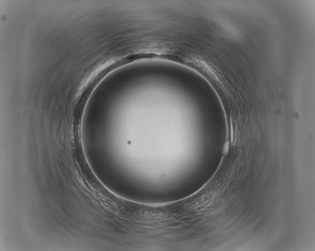 X0000067910531200604171341