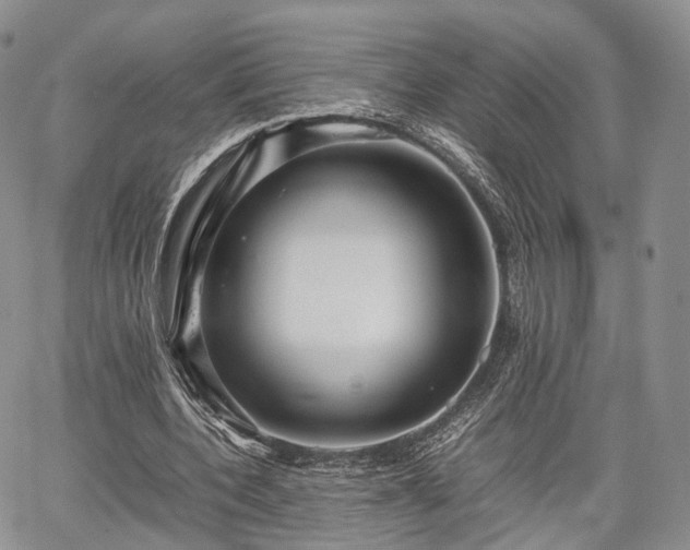 X0000067910532200604171341