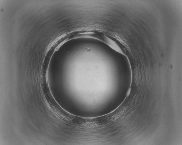 X0000067910536200604171341