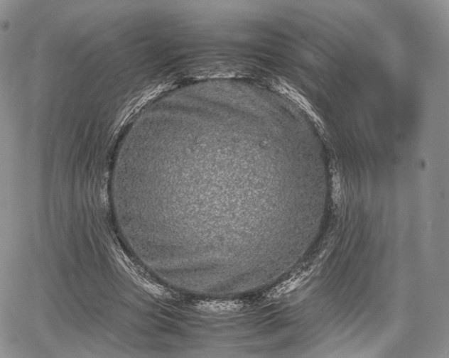 X0000067910537200604171341