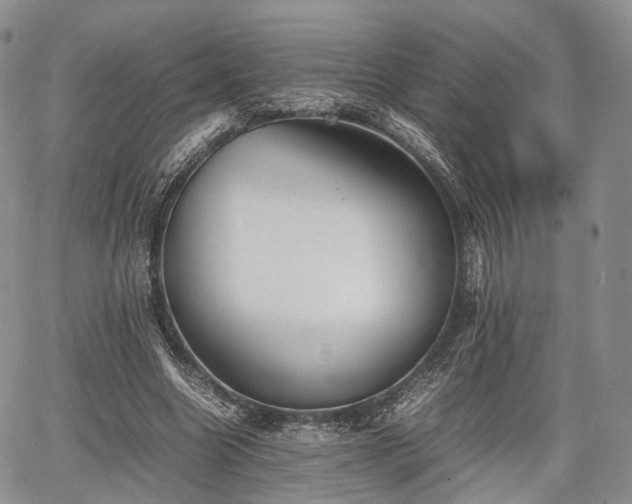 X0000067910538200604171341