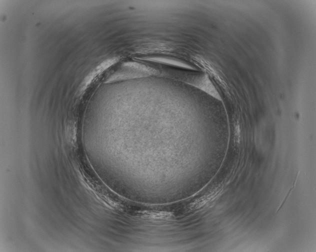 X0000067910539200604171341