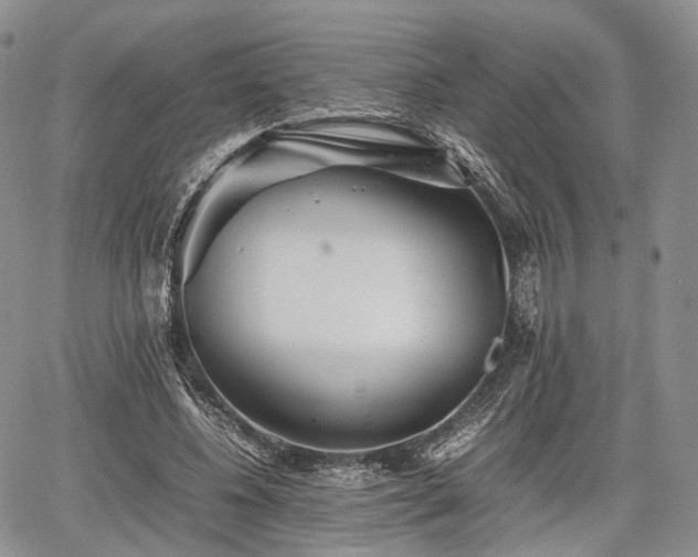 X0000067910540200604171341