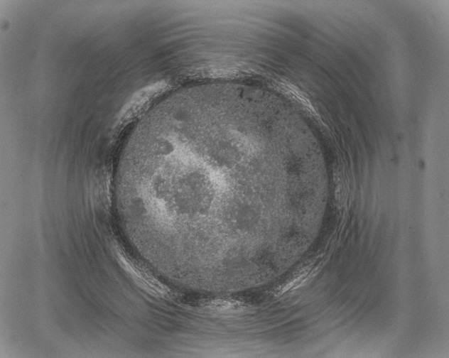 X0000067910542200604171341