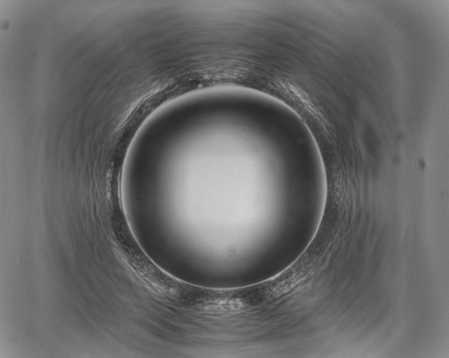 X0000067910543200604171341