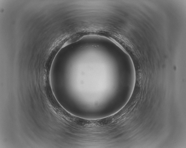 X0000067910544200604171341