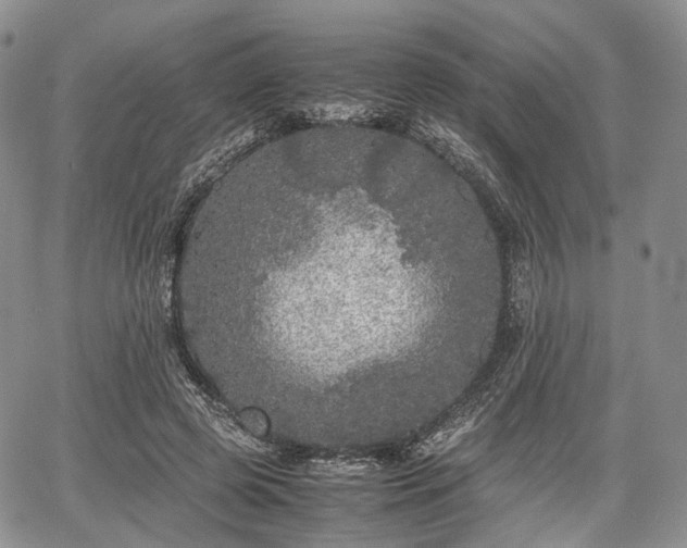 X0000067910545200604171341