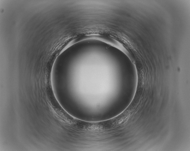 X0000067910546200604171341