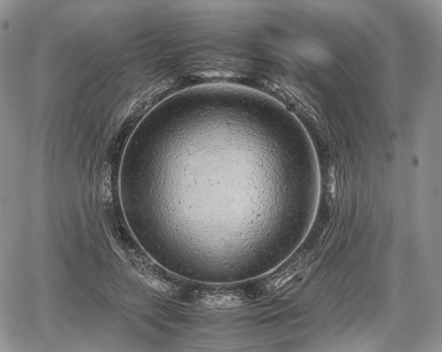 X0000067910547200604171341