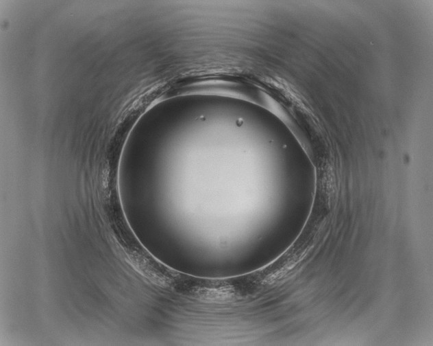 X0000067910548200604171341