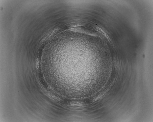 X0000067910549200604171341