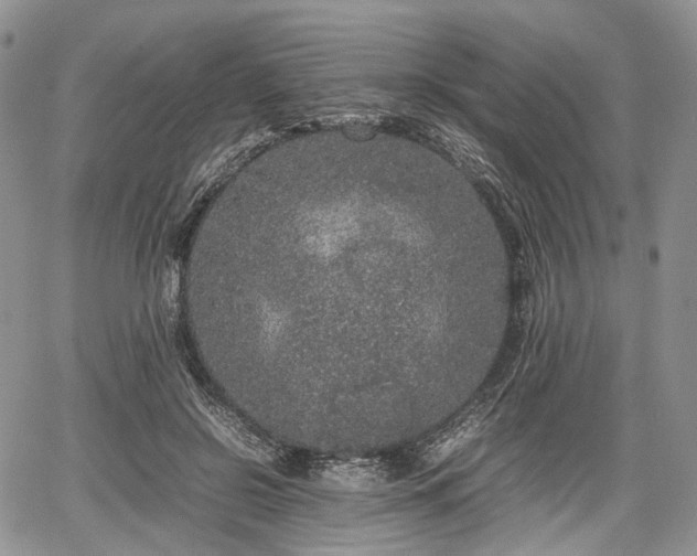 X0000067910550200604171341