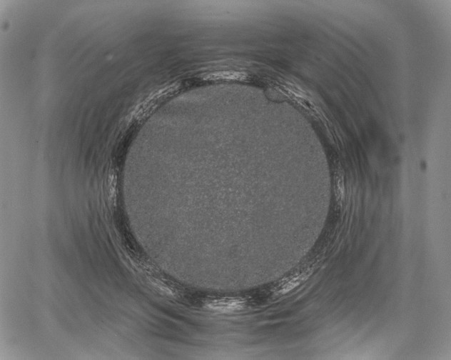 X0000067910551200604171341