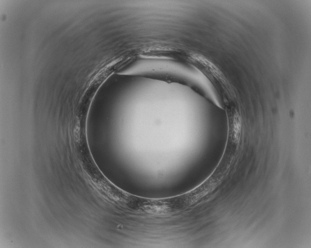 X0000067910552200604171341