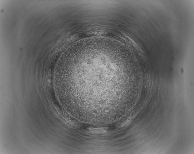 X0000067910553200604171341