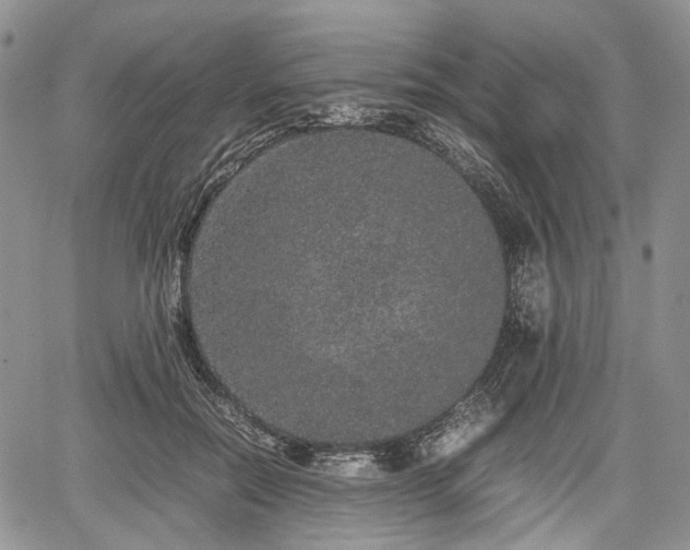 X0000067910554200604171341