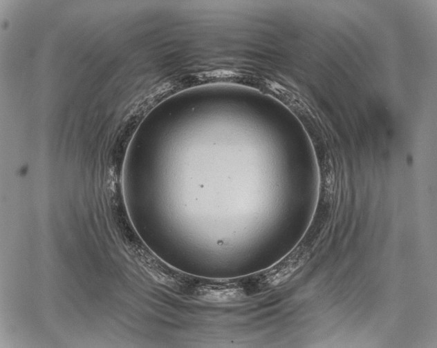 X0000067910555200604171341