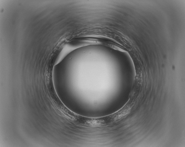 X0000067910558200604171341