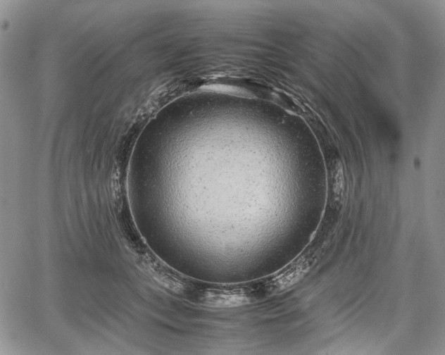 X0000067910559200604171341