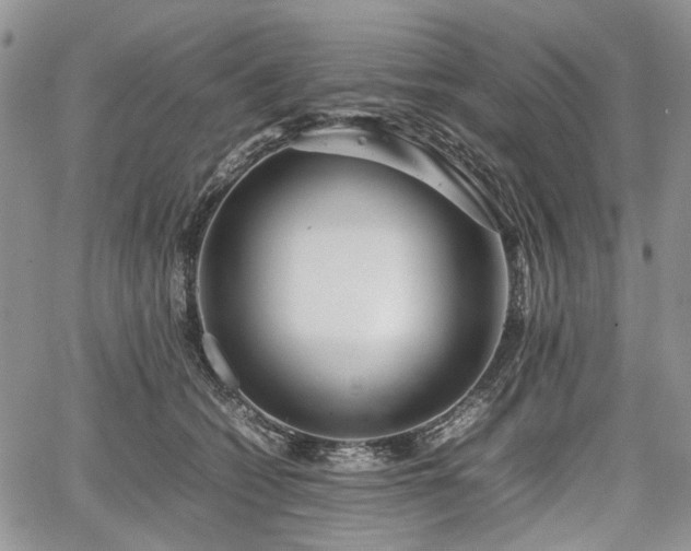 X0000067910562200604171341