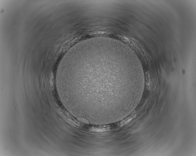 X0000067910563200604171341