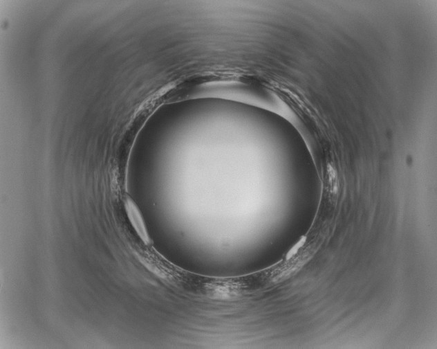 X0000067910564200604171341