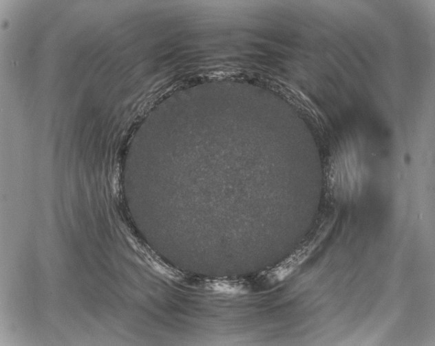 X0000067910565200604171341