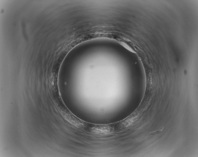 X0000067910567200604171341