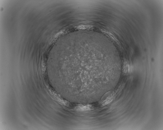 X0000067910569200604171341