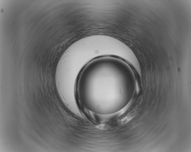 X0000067910570200604171341