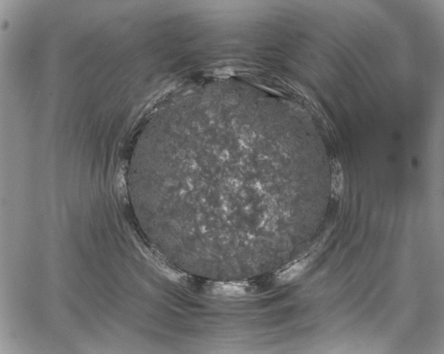 X0000067910573200604171341