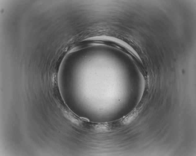 X0000067910574200604171342