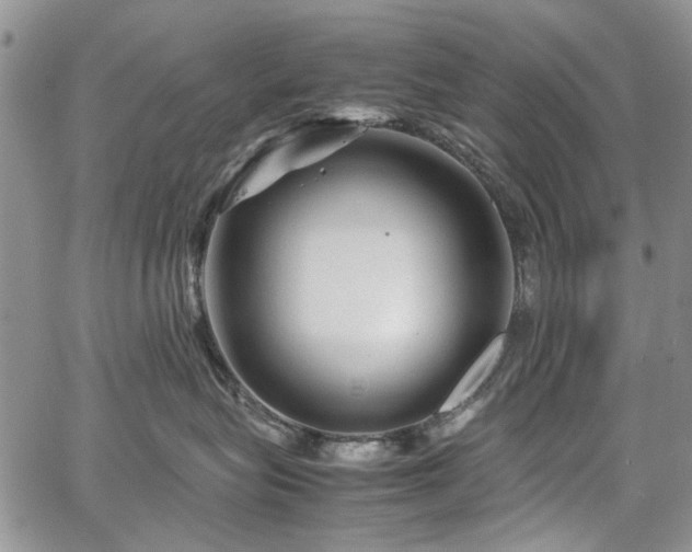 X0000067910575200604171342