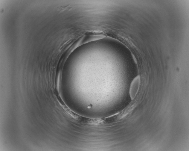 X0000067910576200604171342