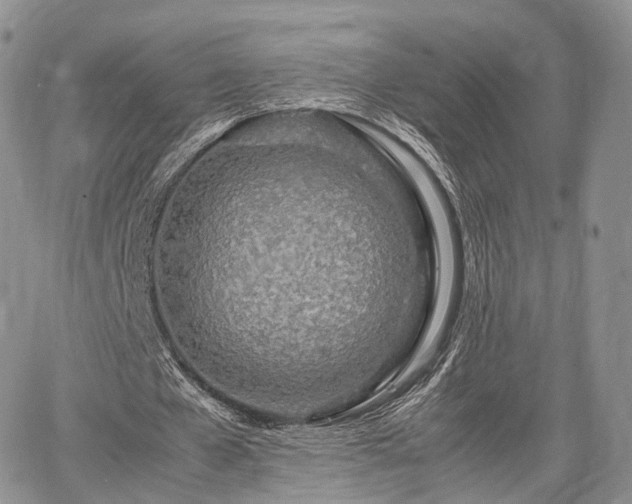 X0000067910577200604171341