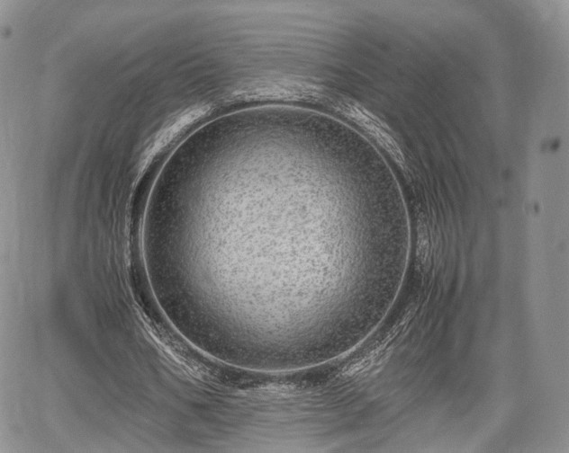 X0000067910578200604171341