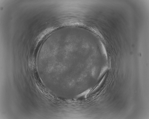 X0000067910579200604171341