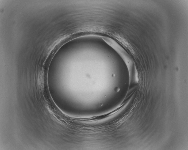 X0000067910580200604171341