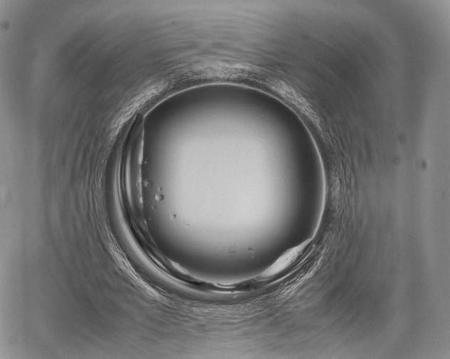 X0000067910581200604171341