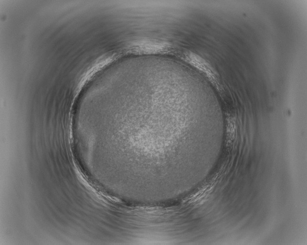 X0000067910582200604171341