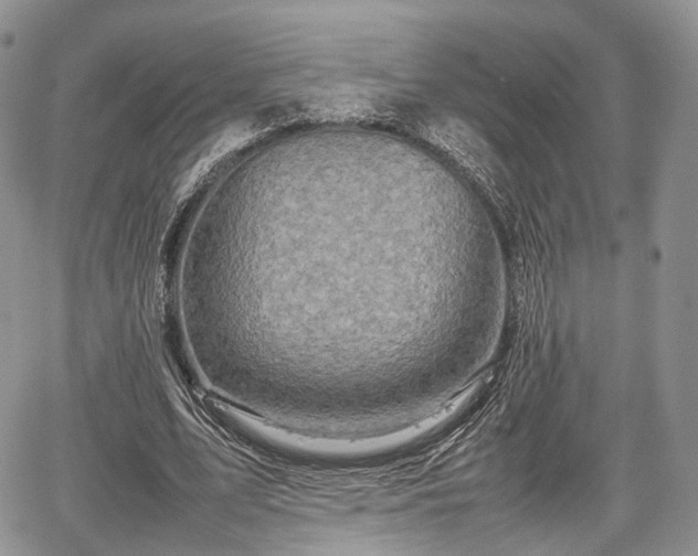 X0000067910583200604171341