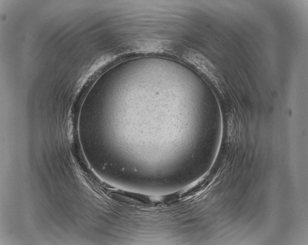 X0000067910584200604171341