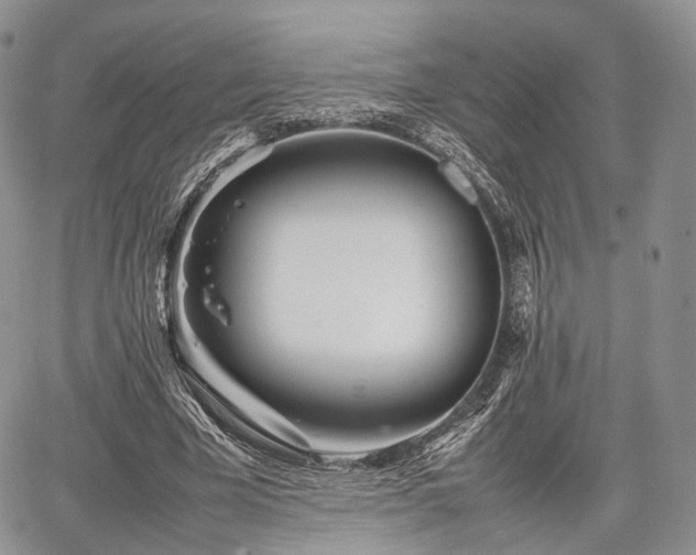 X0000067910585200604171341