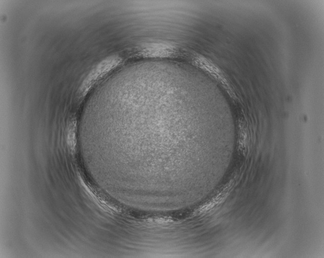 X0000067910586200604171341