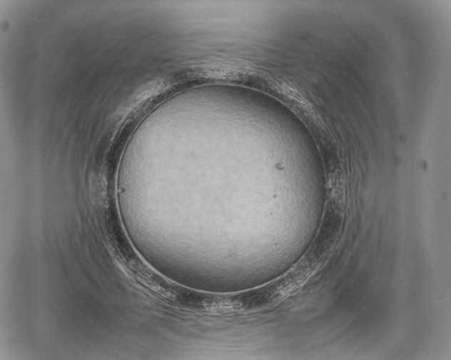 X0000067910587200604171341