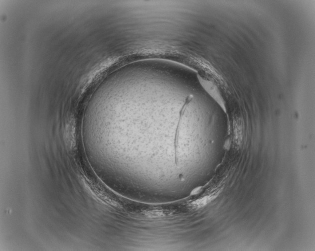 X0000067910588200604171341