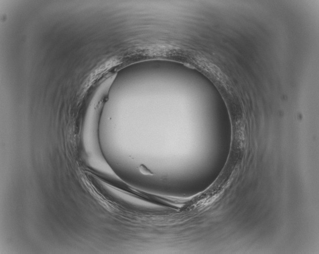 X0000067910589200604171341